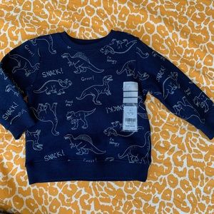 18 month boys dinosaur sweater